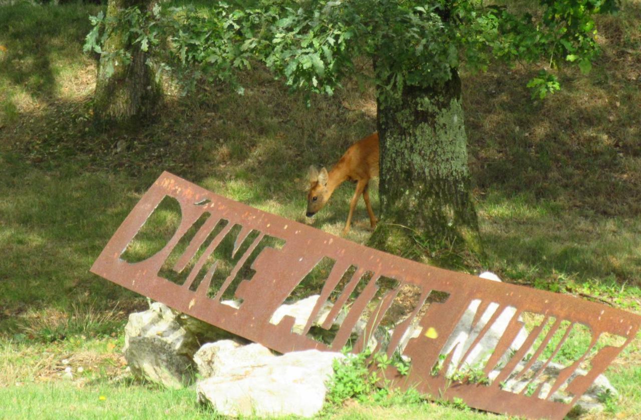 D'Une Autre Nature Bed & Breakfast Mesland Exterior photo